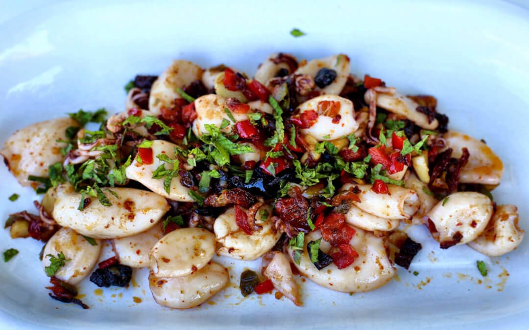 The little squid from the Basque Country
